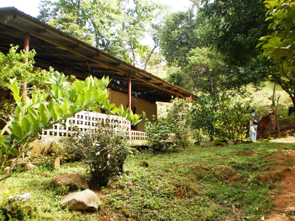 chiriquinatural.com: En peligro el Tabasará